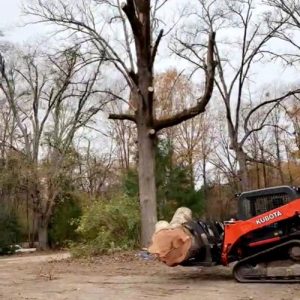 R&G Tree Removal
