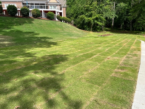 Sod Install from R&G