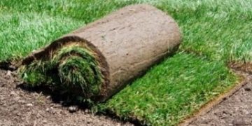 Sod Installation